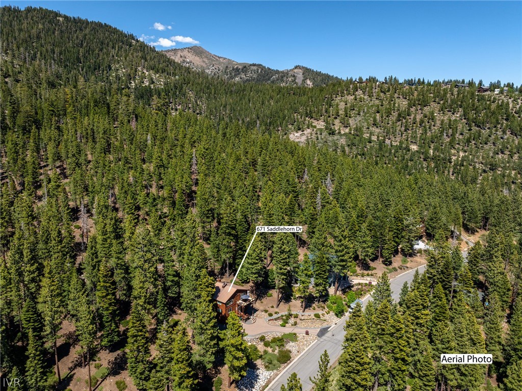 671 Saddlehorn Drive