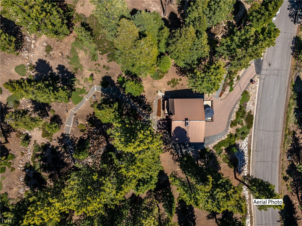 671 Saddlehorn Drive