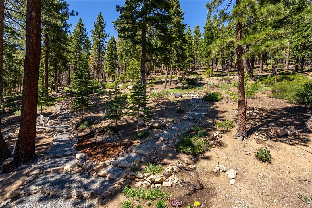 671 Saddlehorn Drive