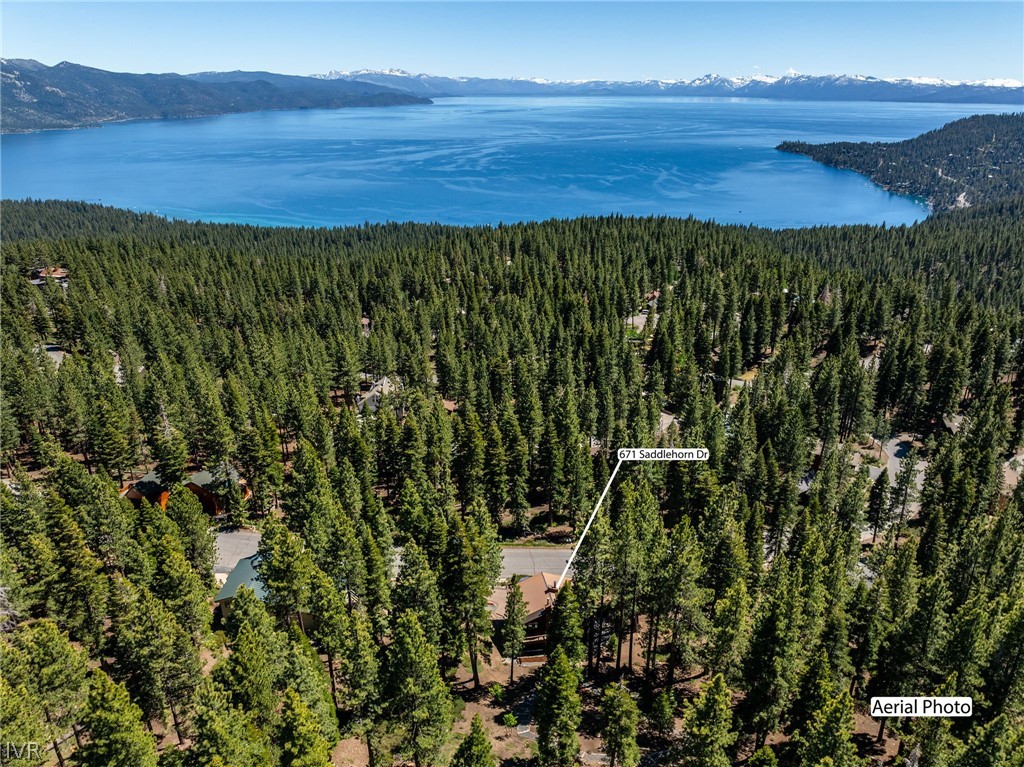 671 Saddlehorn Drive