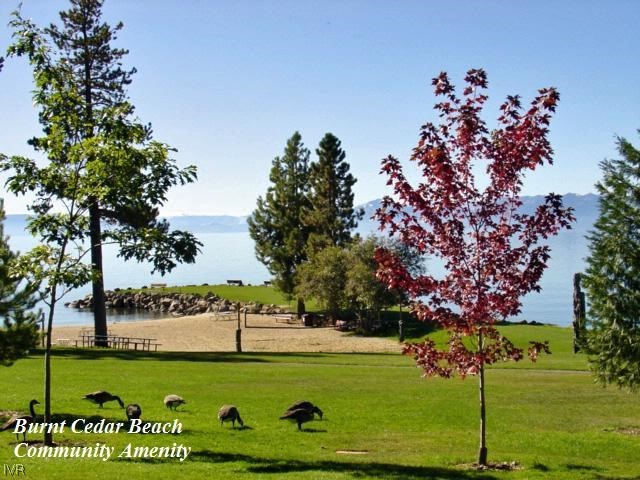 671 Saddlehorn Drive