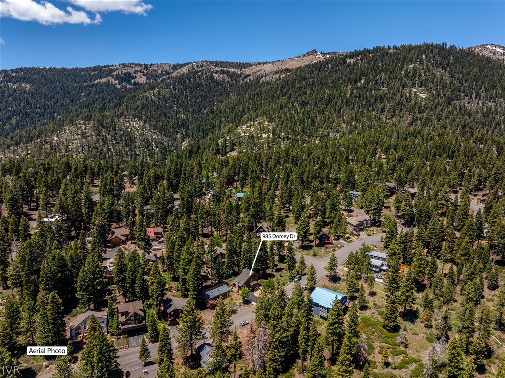 985 Dorcey Drive
