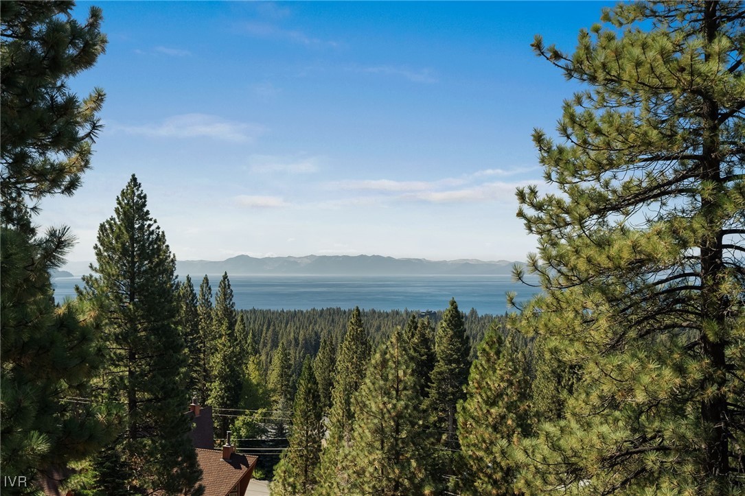 369 Fairview Boulevard