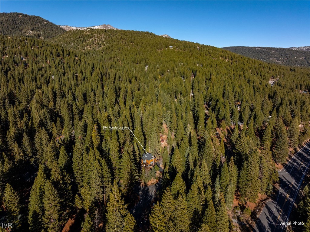 594 Ponderosa Avenue