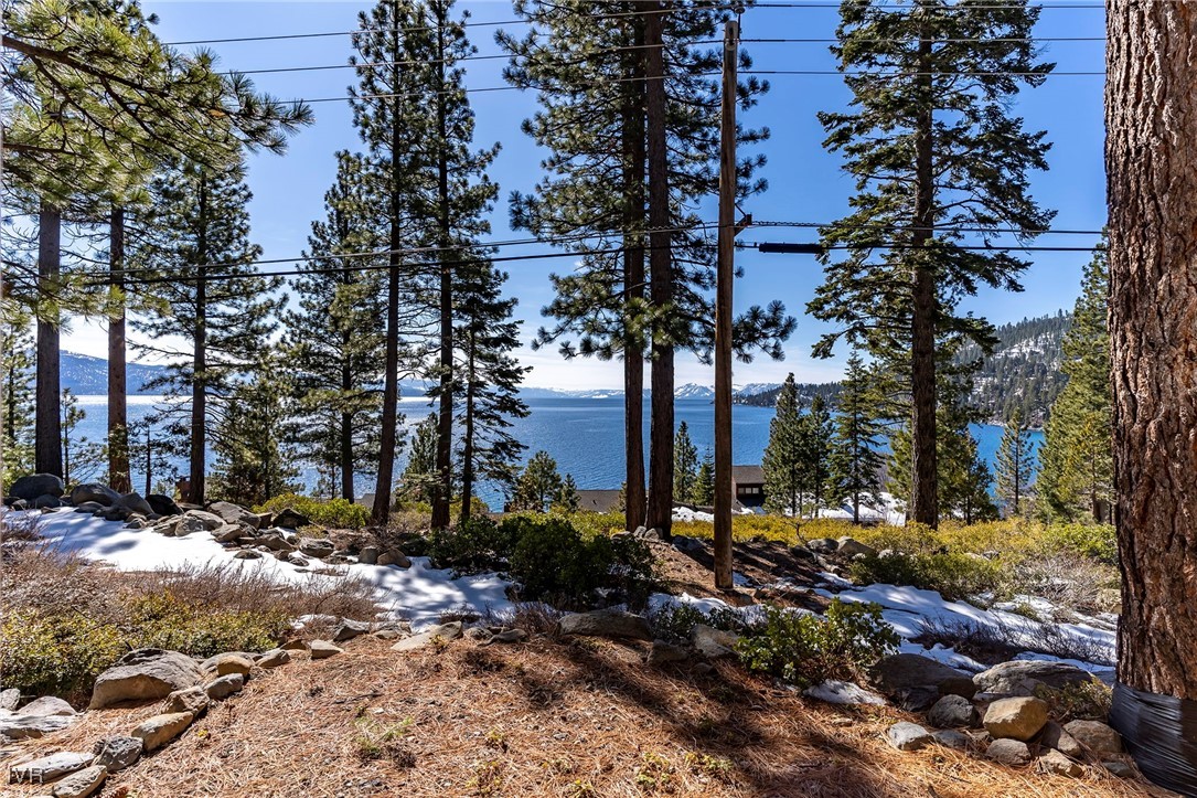 101 Red Cedar Drive 20