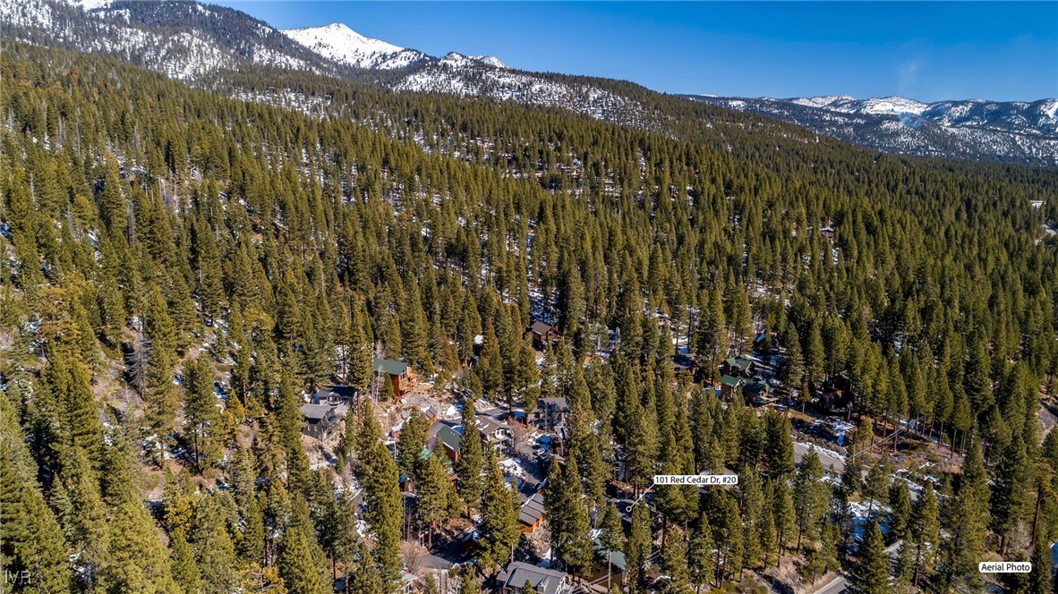 101 Red Cedar Drive 20