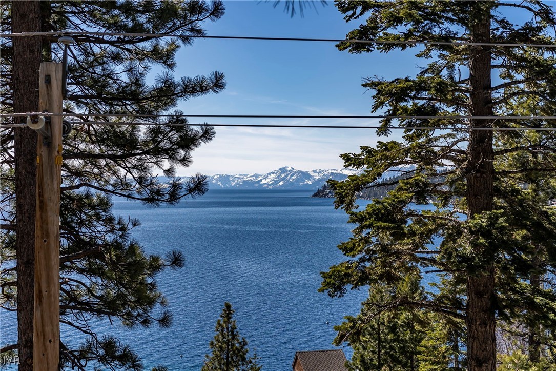 101 Red Cedar Drive 20