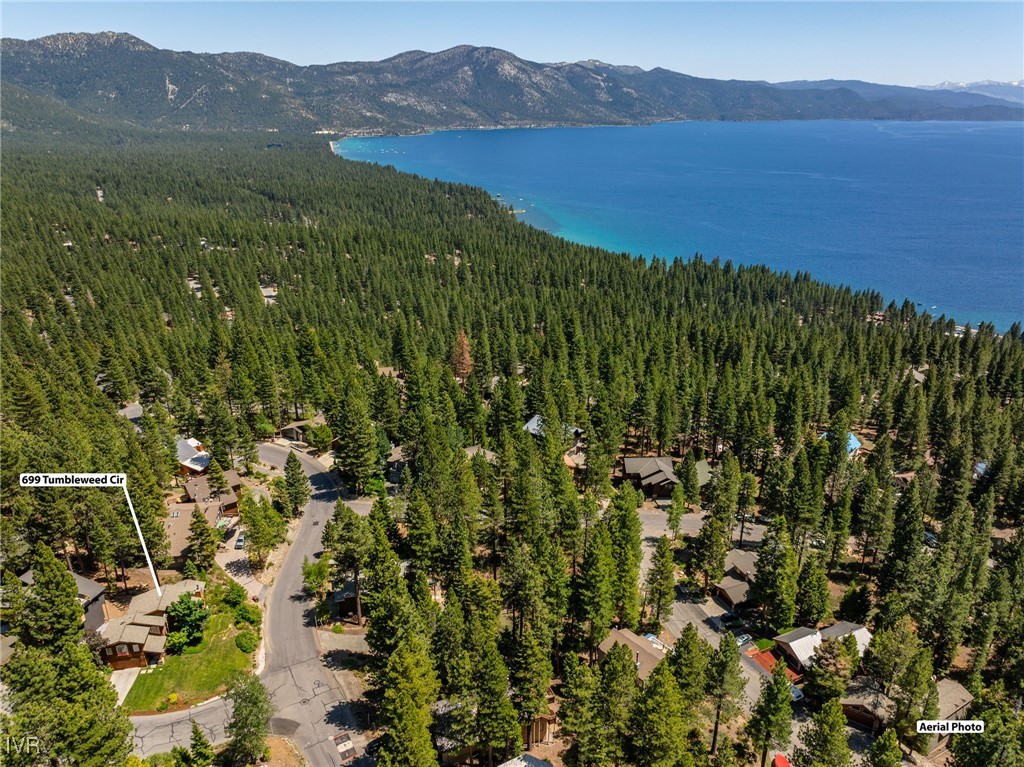 699 Tumbleweed Circle