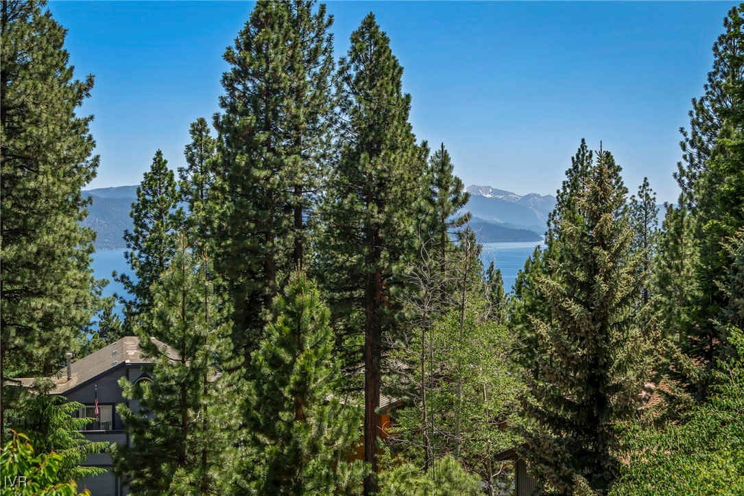 699 Tumbleweed Circle