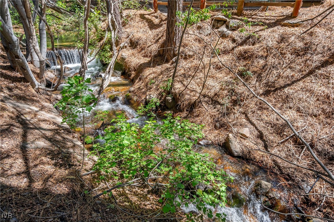 836 Southwood Boulevard 4