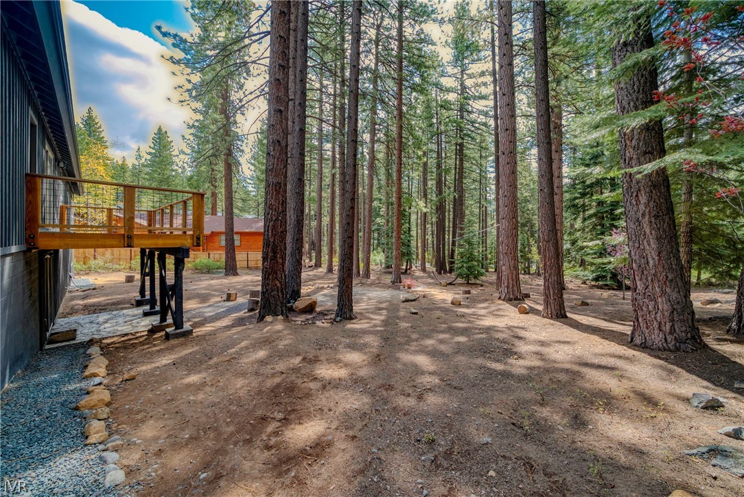 893 Donna Drive