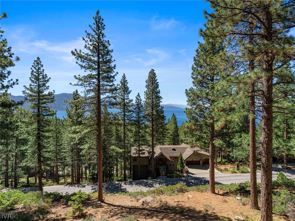 557 Knotty Pine Drive