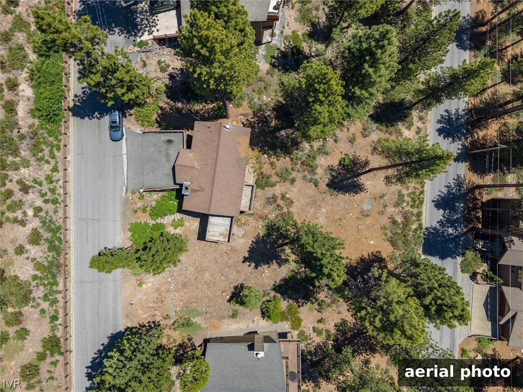 557 Knotty Pine Drive