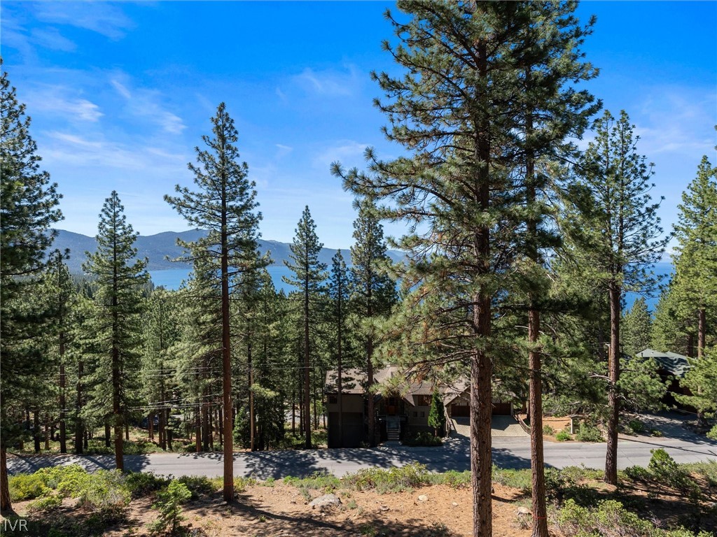 557 Knotty Pine Drive