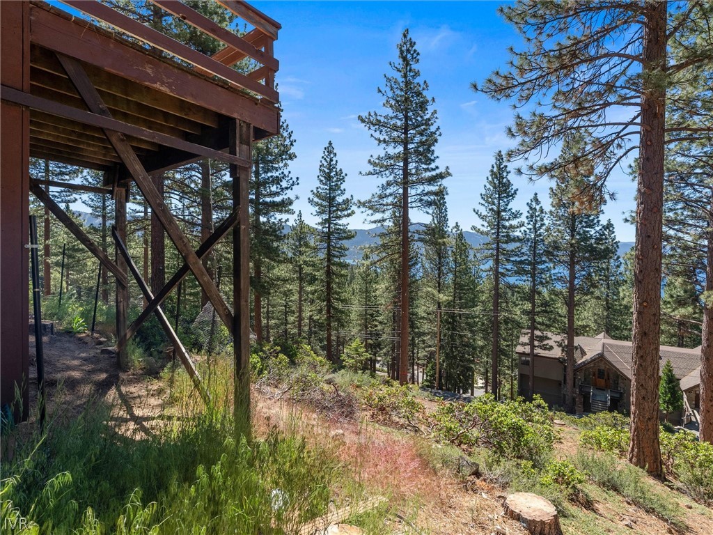557 Knotty Pine Drive
