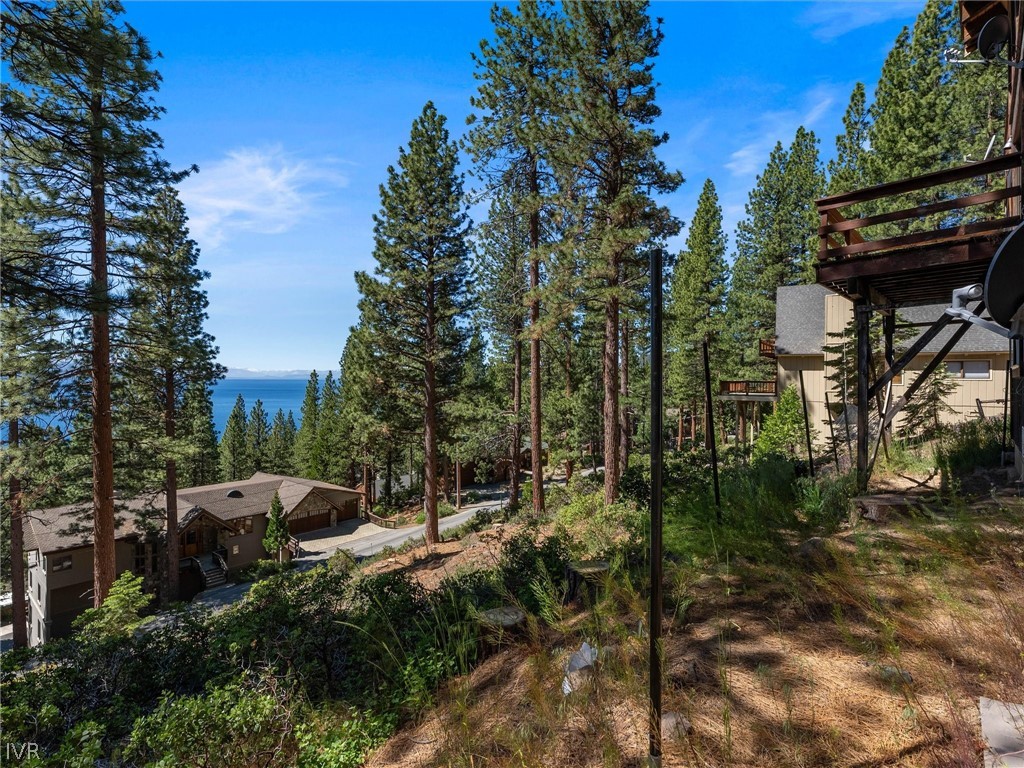 557 Knotty Pine Drive