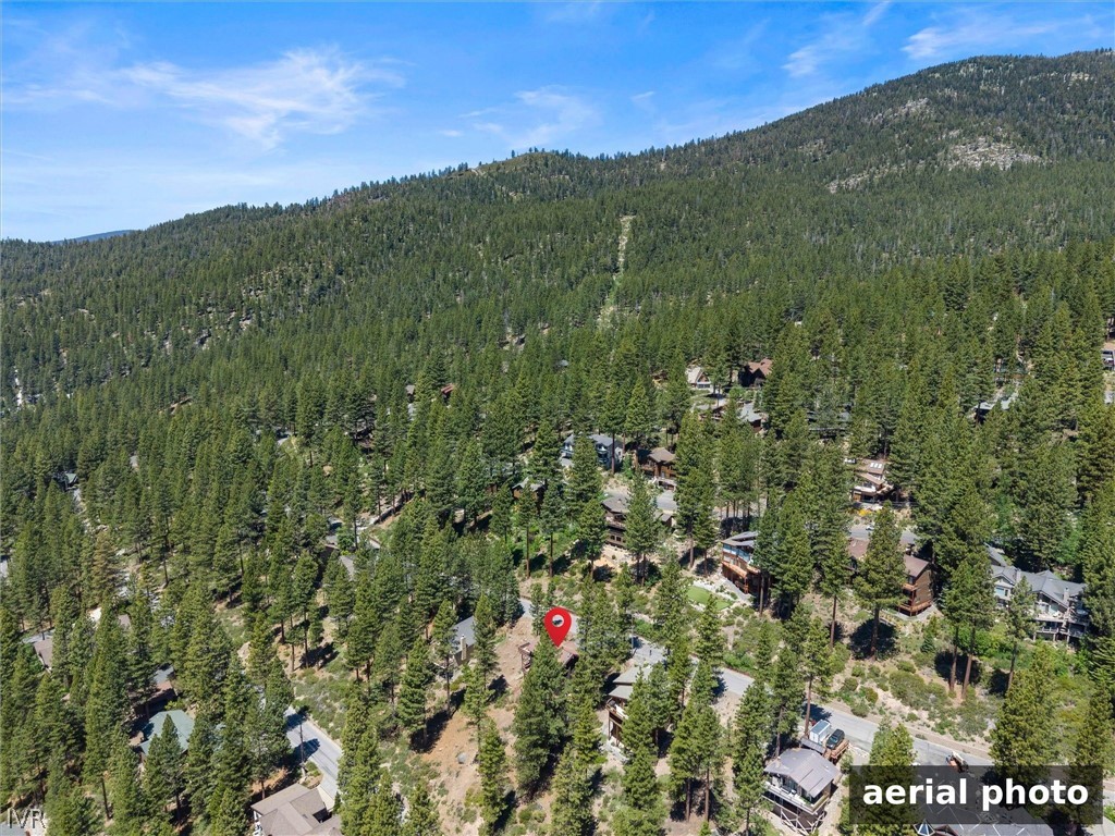 557 Knotty Pine Drive
