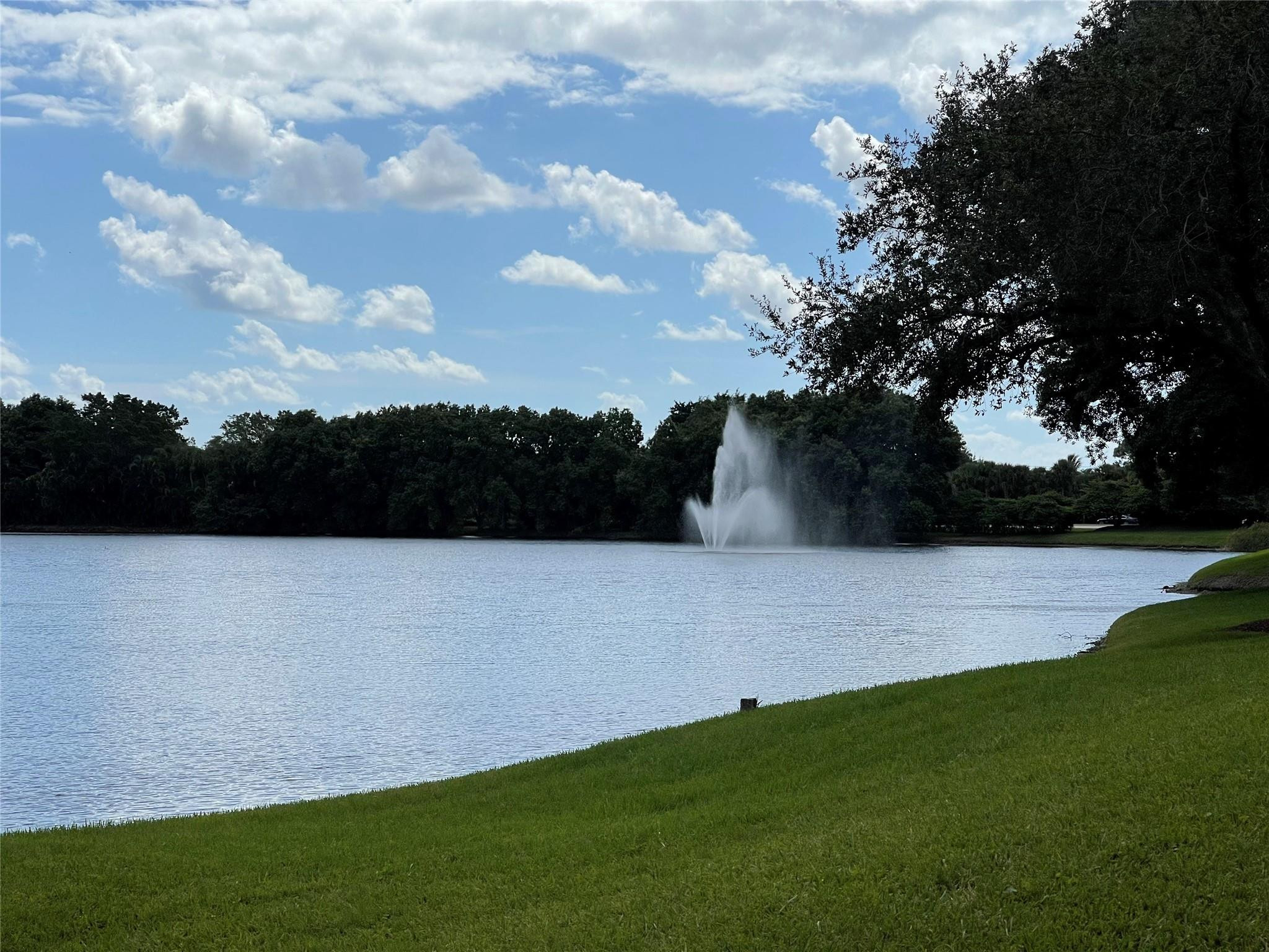 1310 Bridgewood Dr 1310