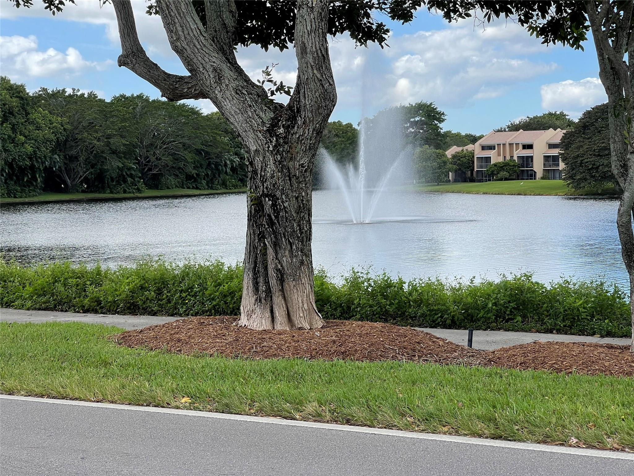 1310 Bridgewood Dr 1310