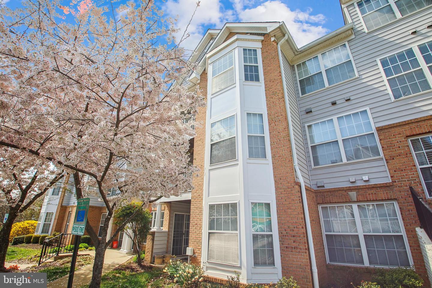 2022 Gov Thomas Bladen Way #102