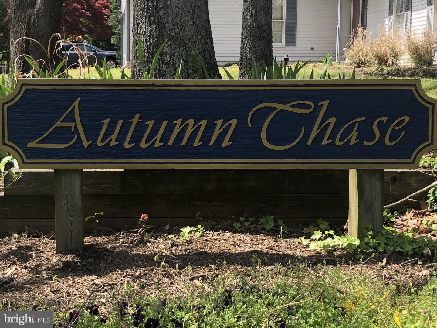 2804 Autumn Chase Run
