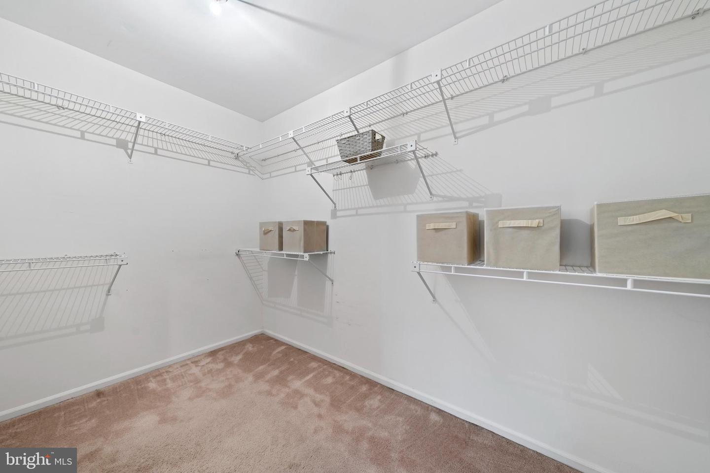 2804 Autumn Chase Run