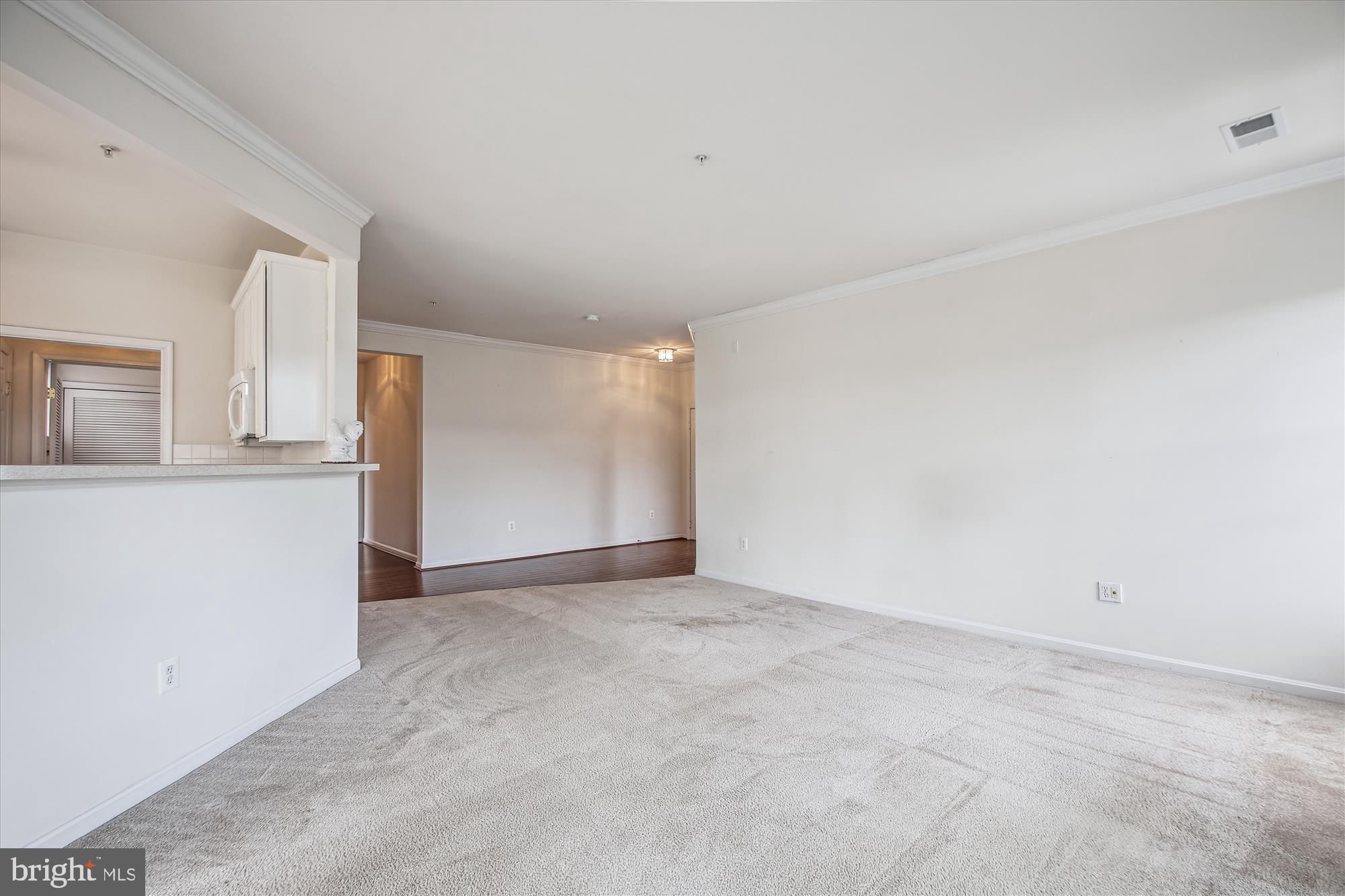 411 Hamlet Club Dr #207