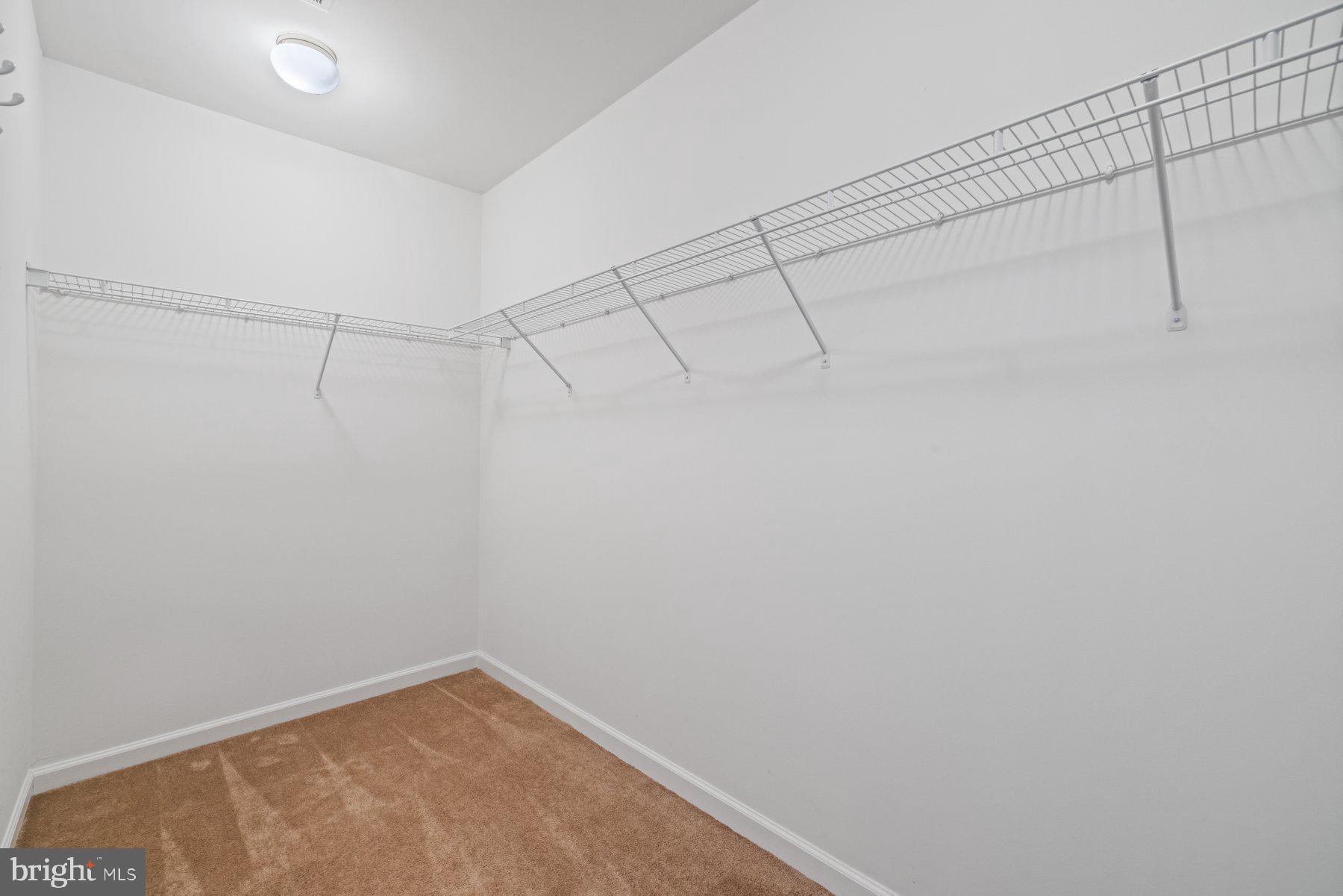 2868 Shallow Stream Way