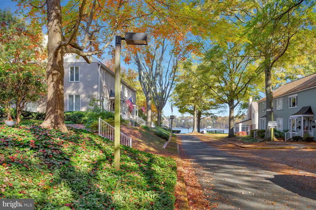 801 Dreams Landing Way #801