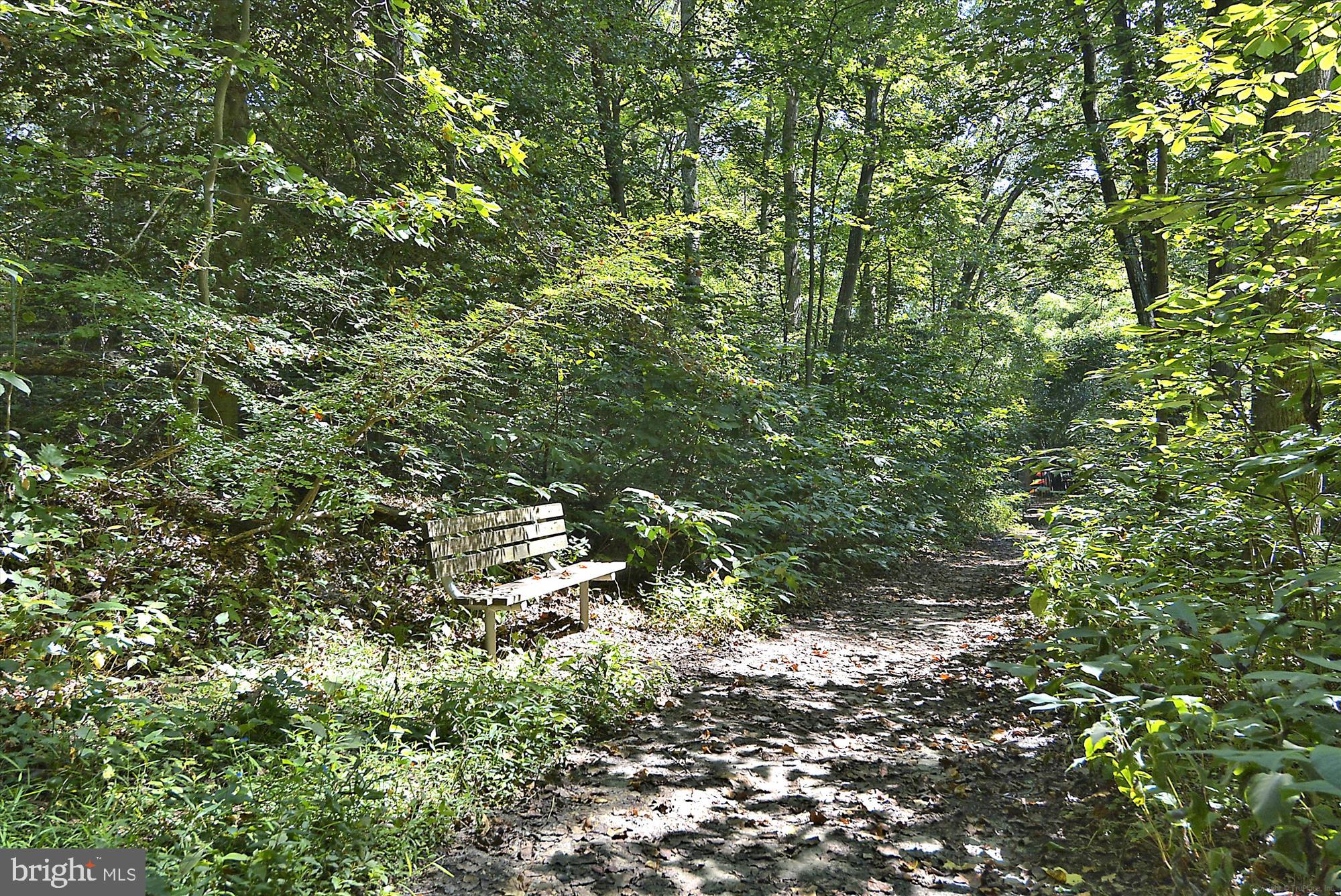 124 CRANES CROOK LANE