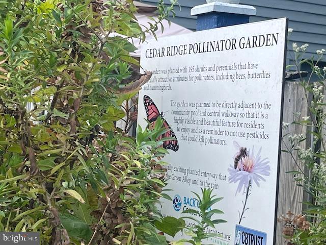 1021 CEDAR RIDGE COURT