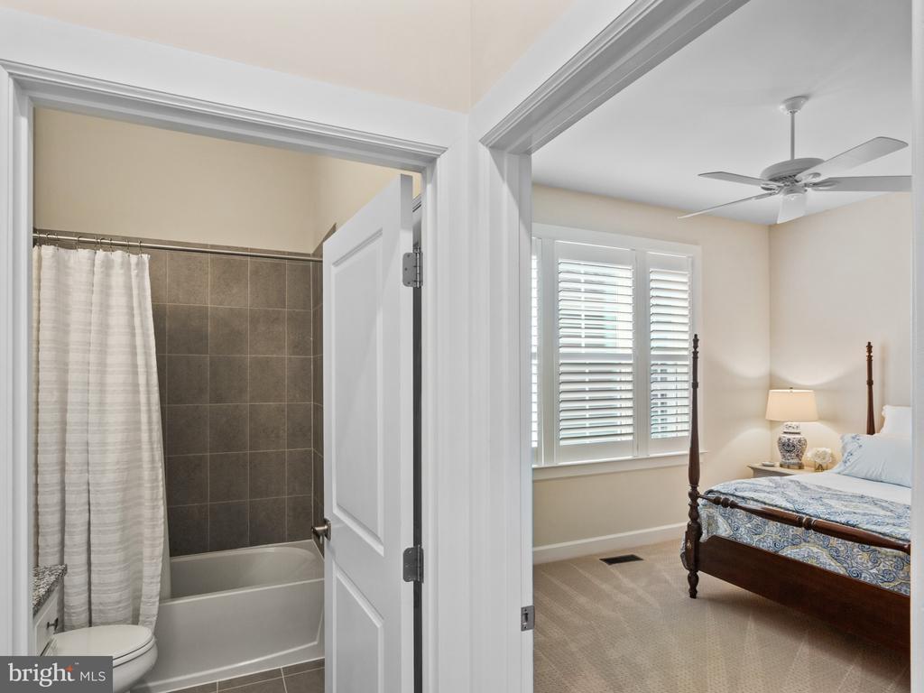3102 MEANDER BND