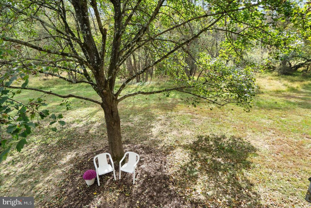 4585 Kingscup Ct
