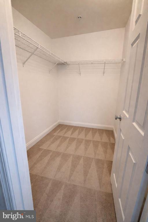 12817 GOODLOES PROMISE DRIVE