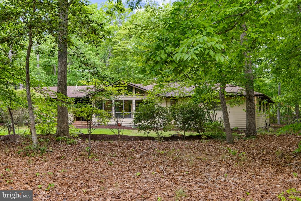 113 MARLBOROUGH ROAD