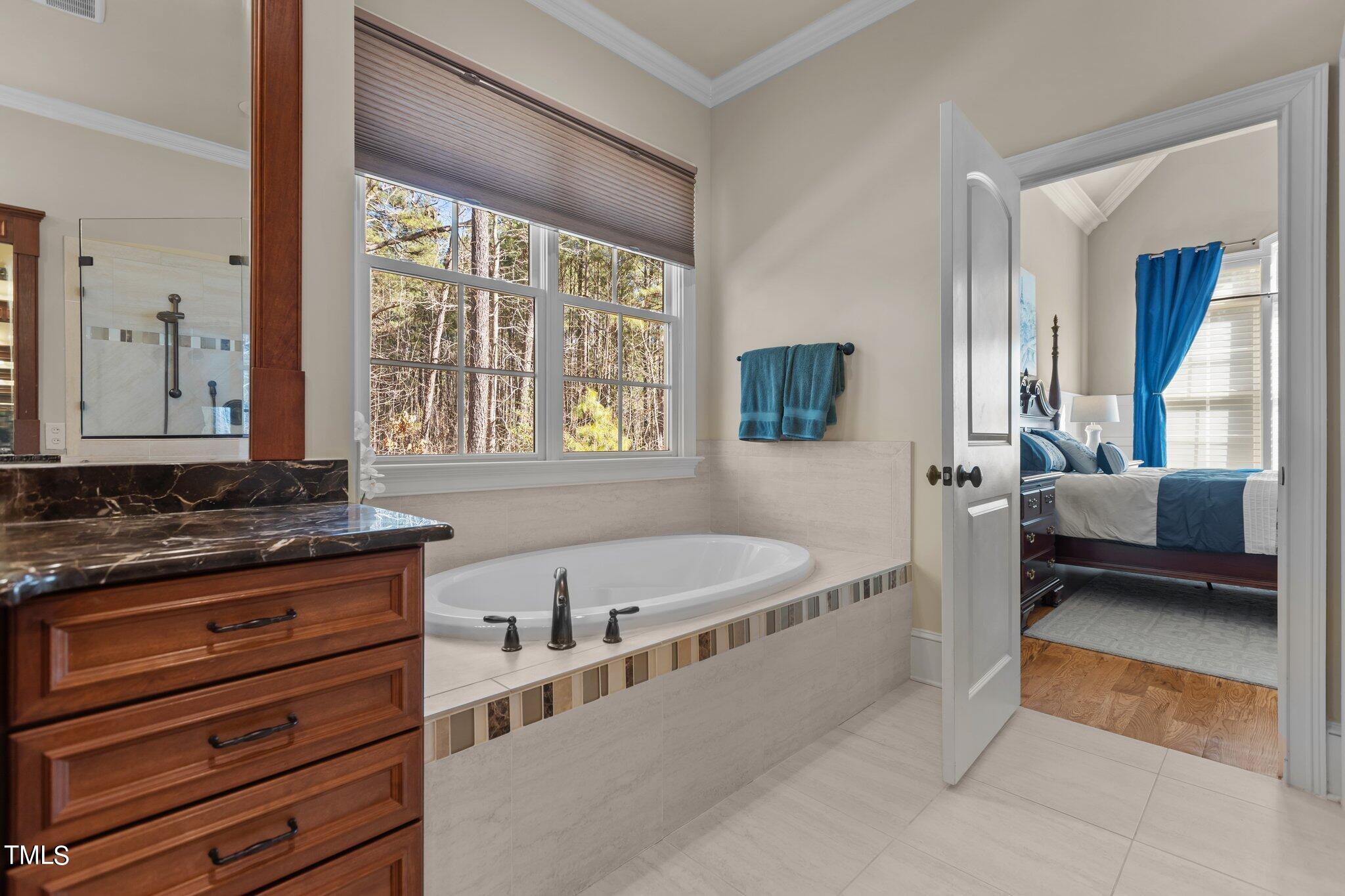 12316 The Gates Drive