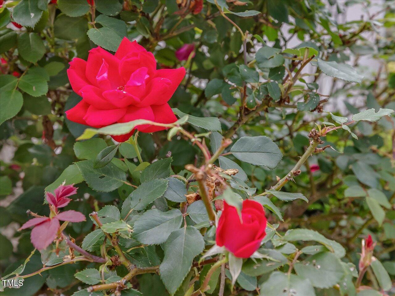 1330 Cedar Grove Road