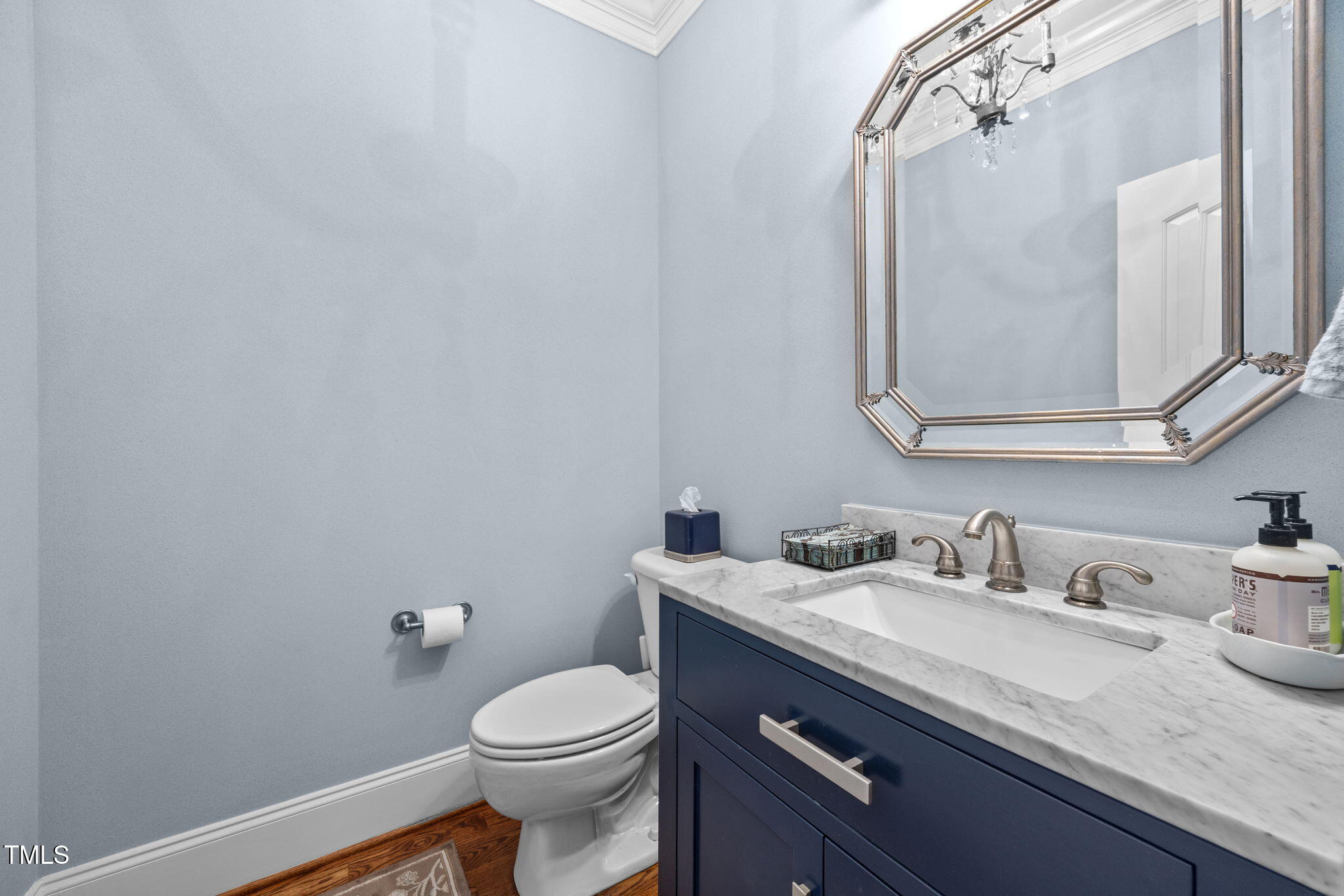 1217 Prairie Pond Circle