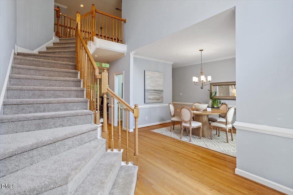 703 Cricketfield Lane