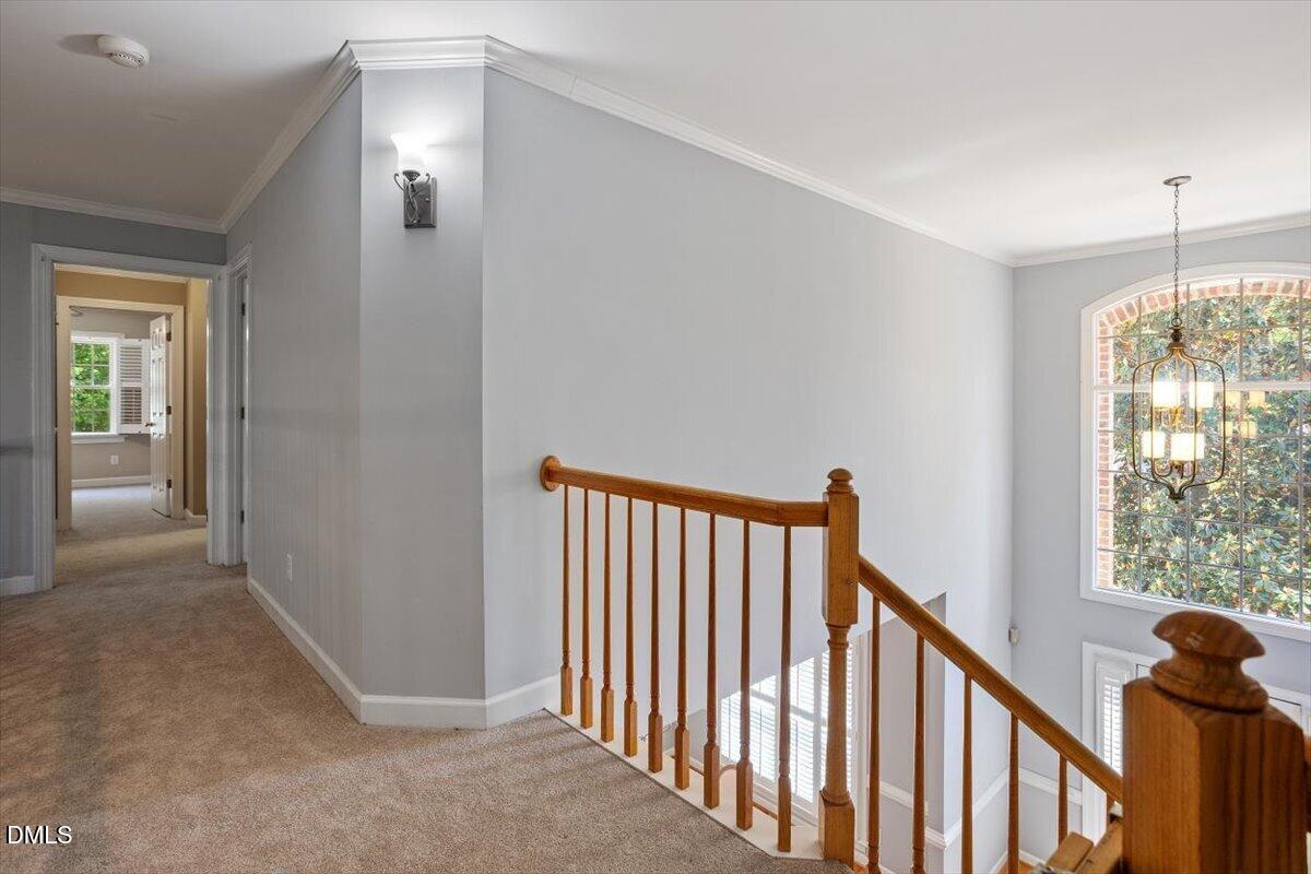 703 Cricketfield Lane