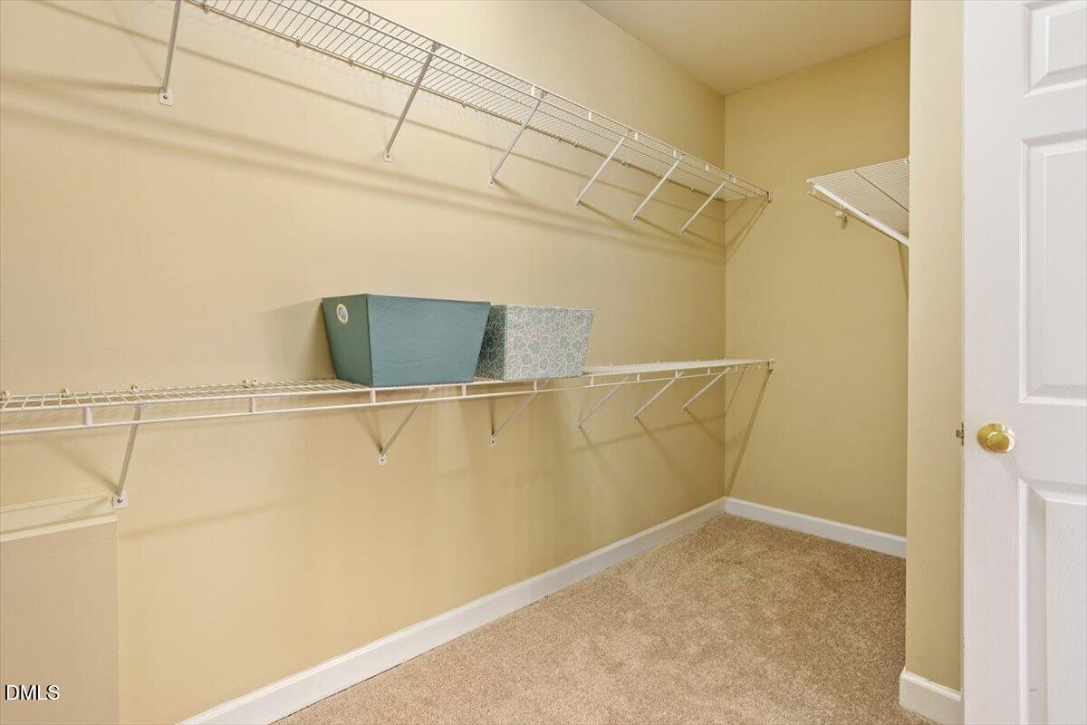 703 Cricketfield Lane