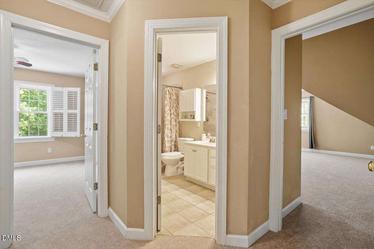 703 Cricketfield Lane