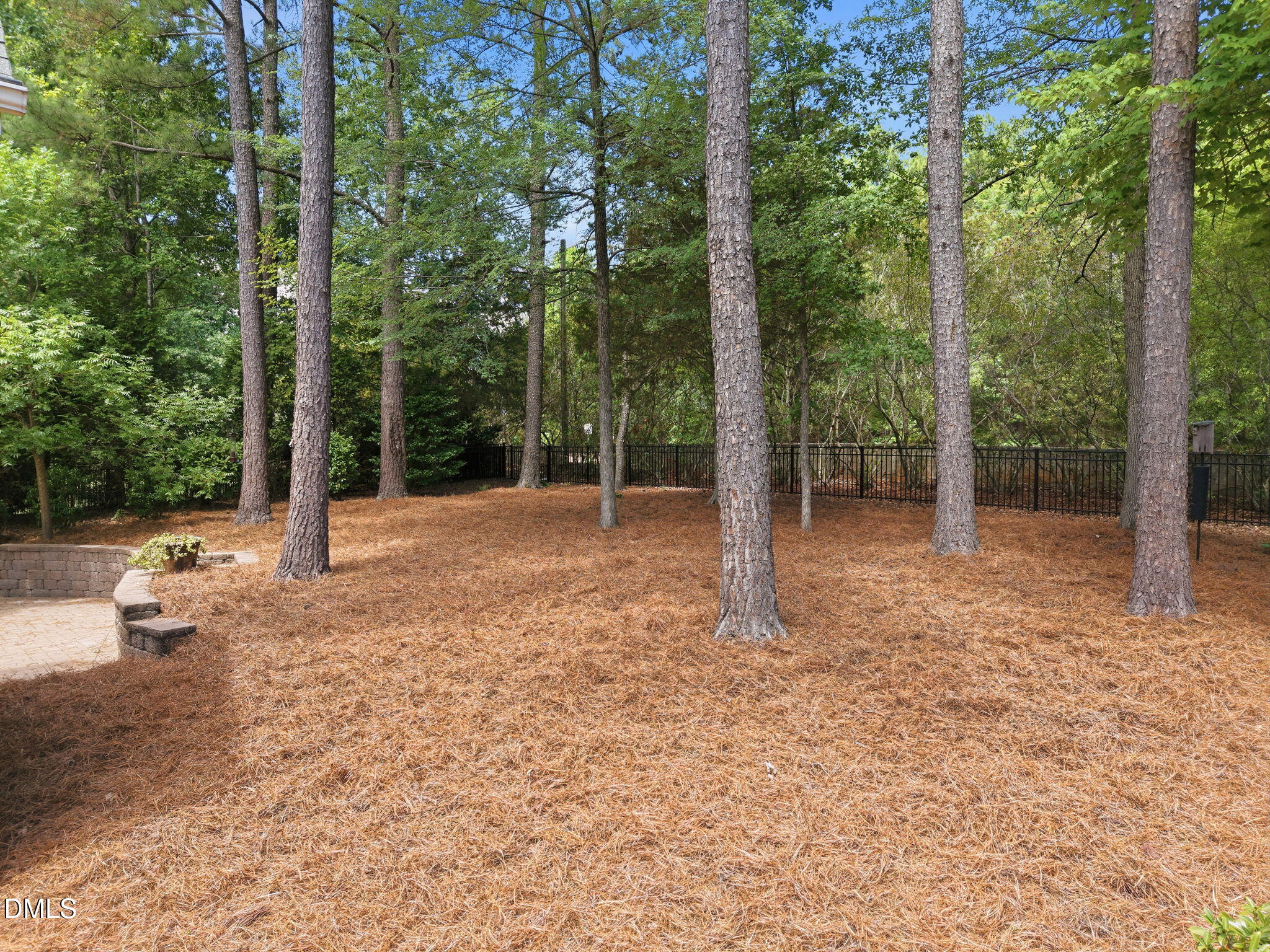 1229 Fanning Drive