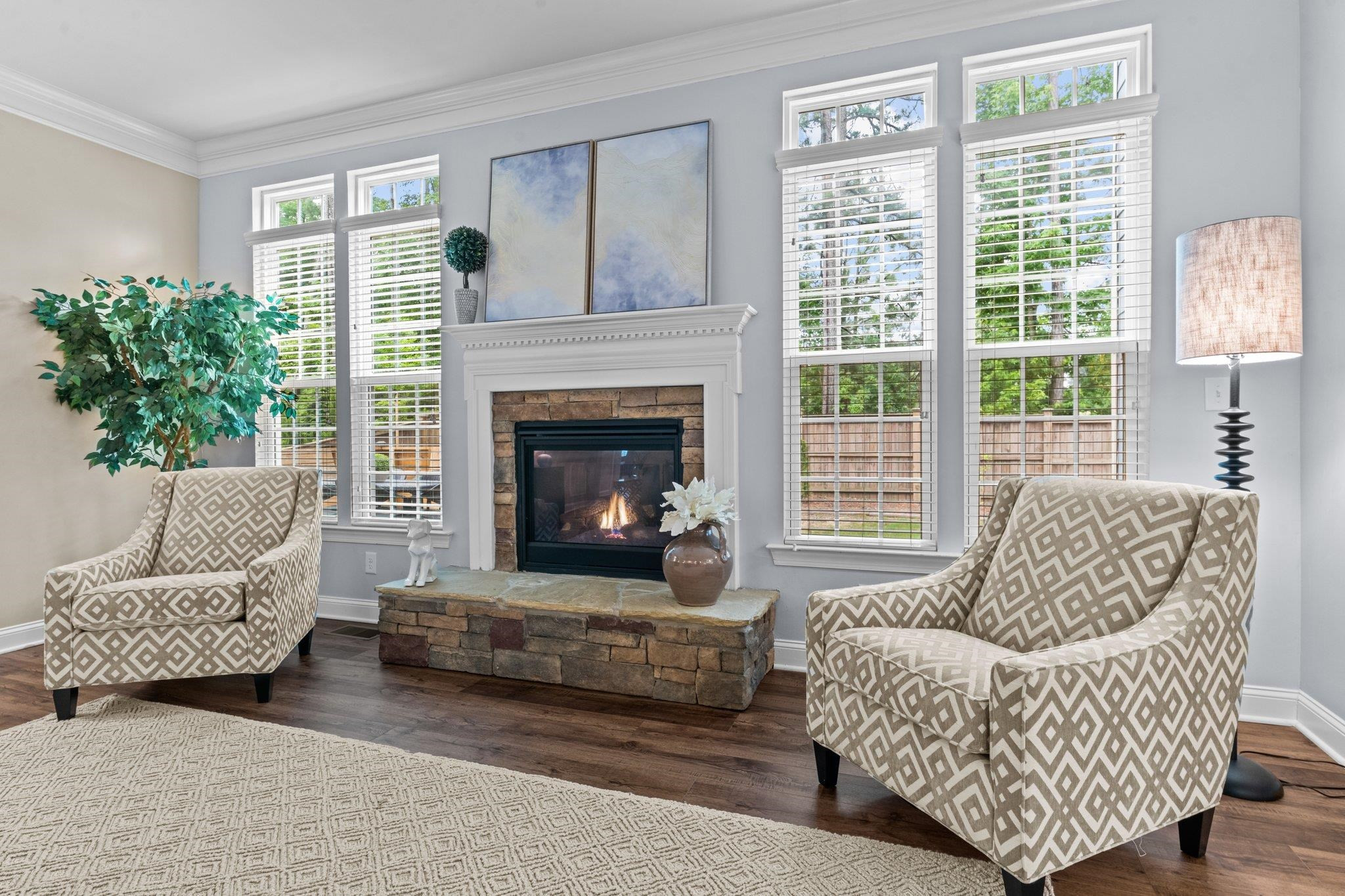 2829 Medoc Mountain Point