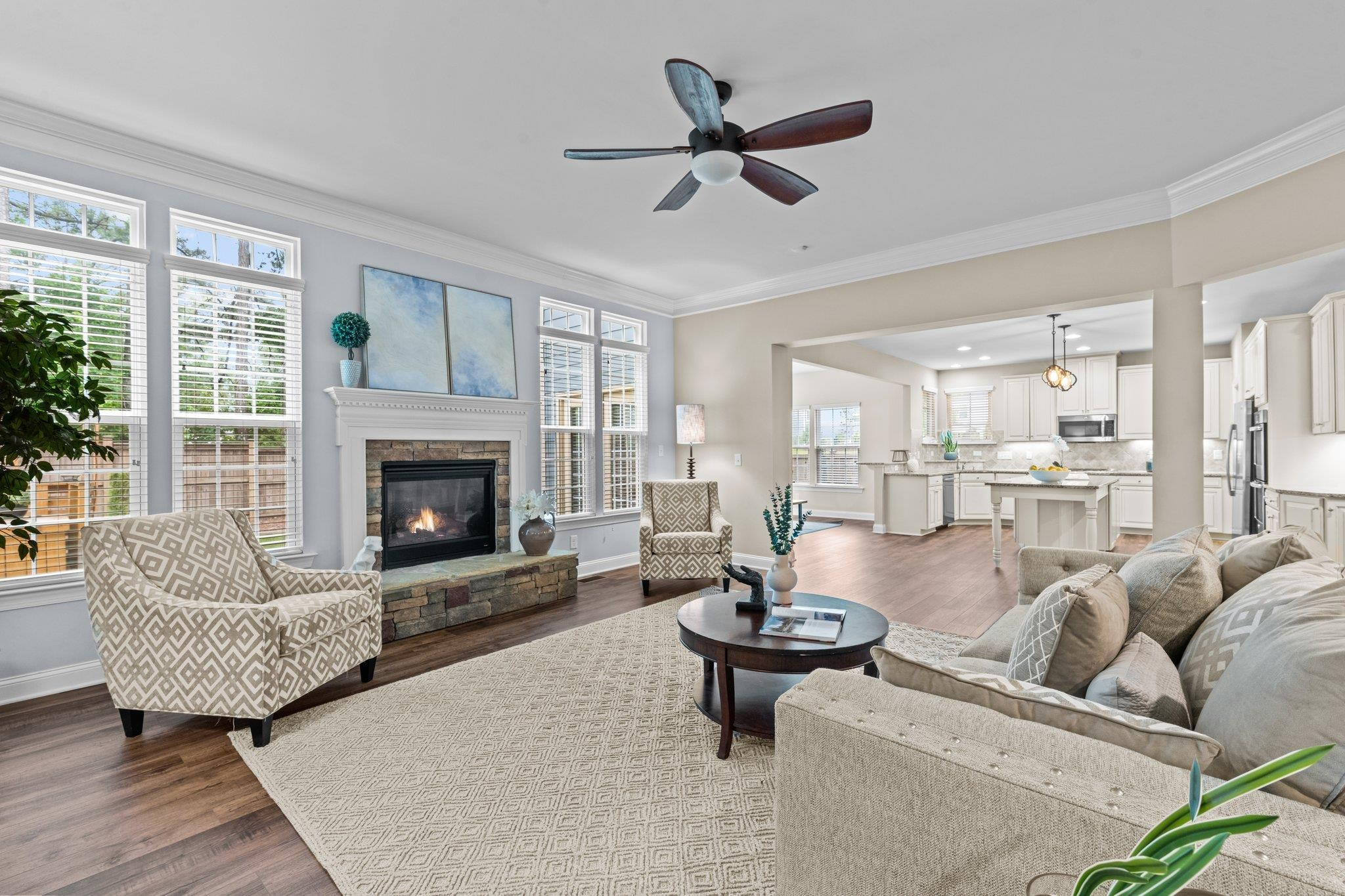 2829 Medoc Mountain Point