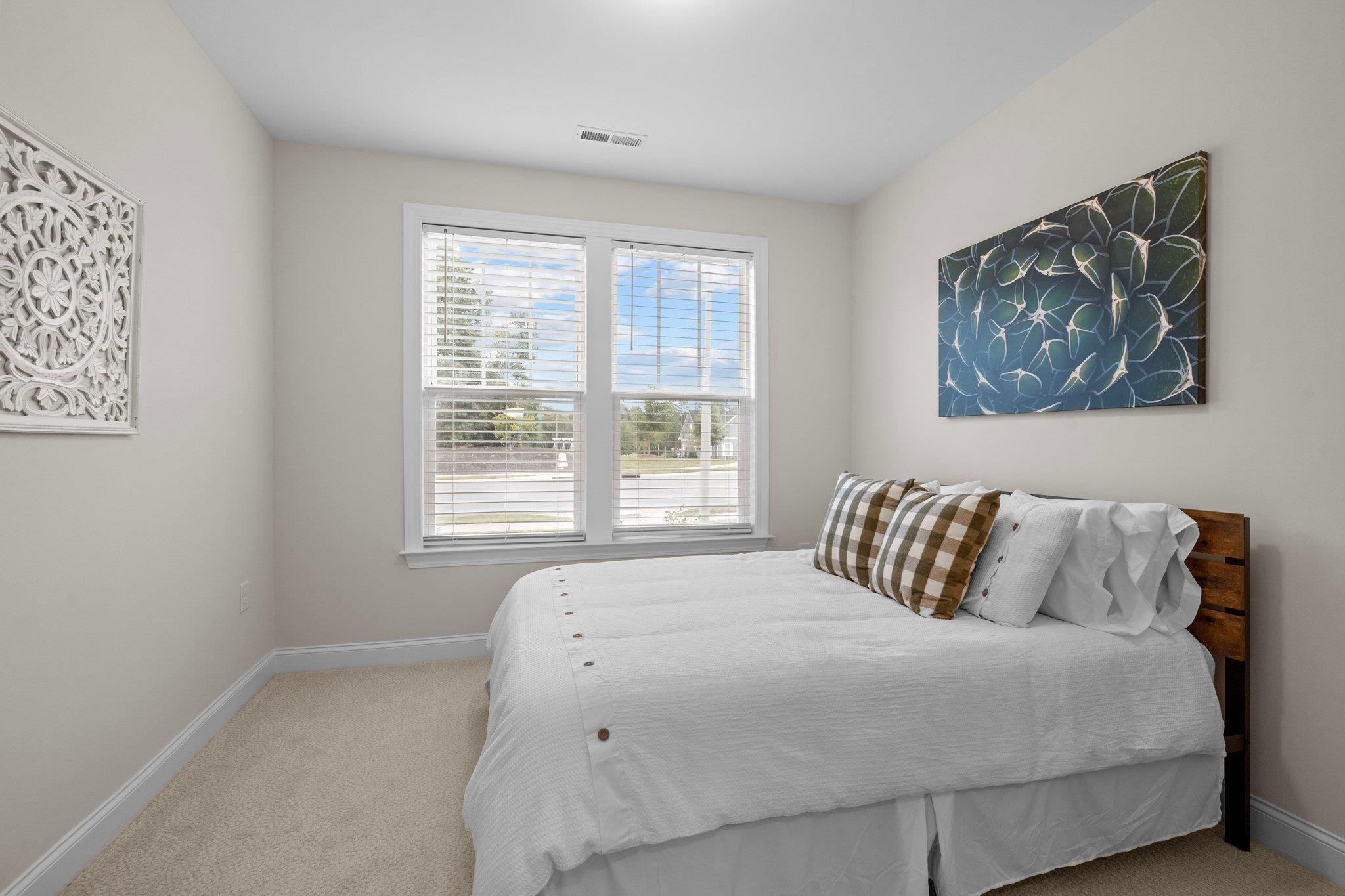 162 Trinity Creek Drive