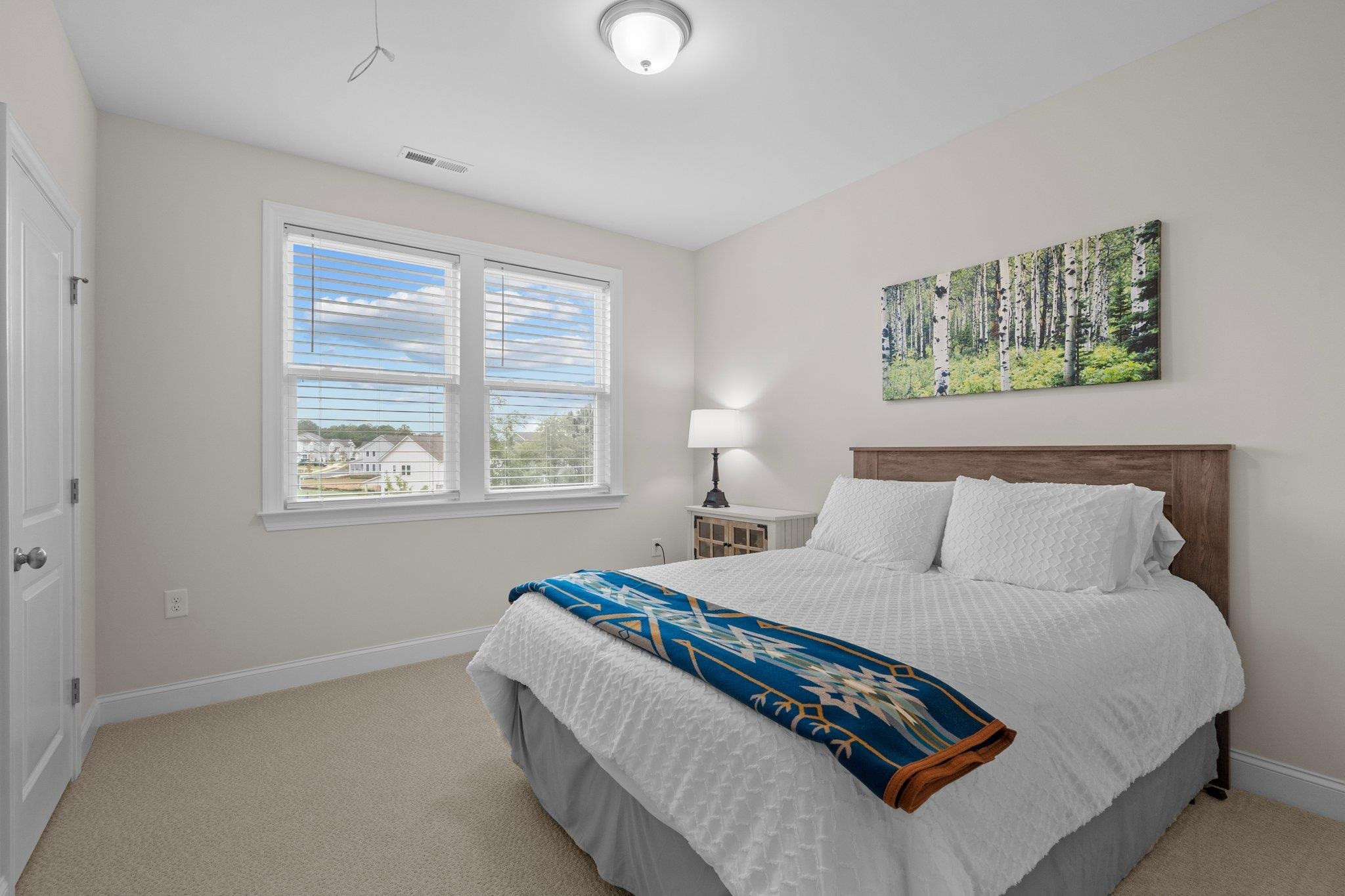 162 Trinity Creek Drive