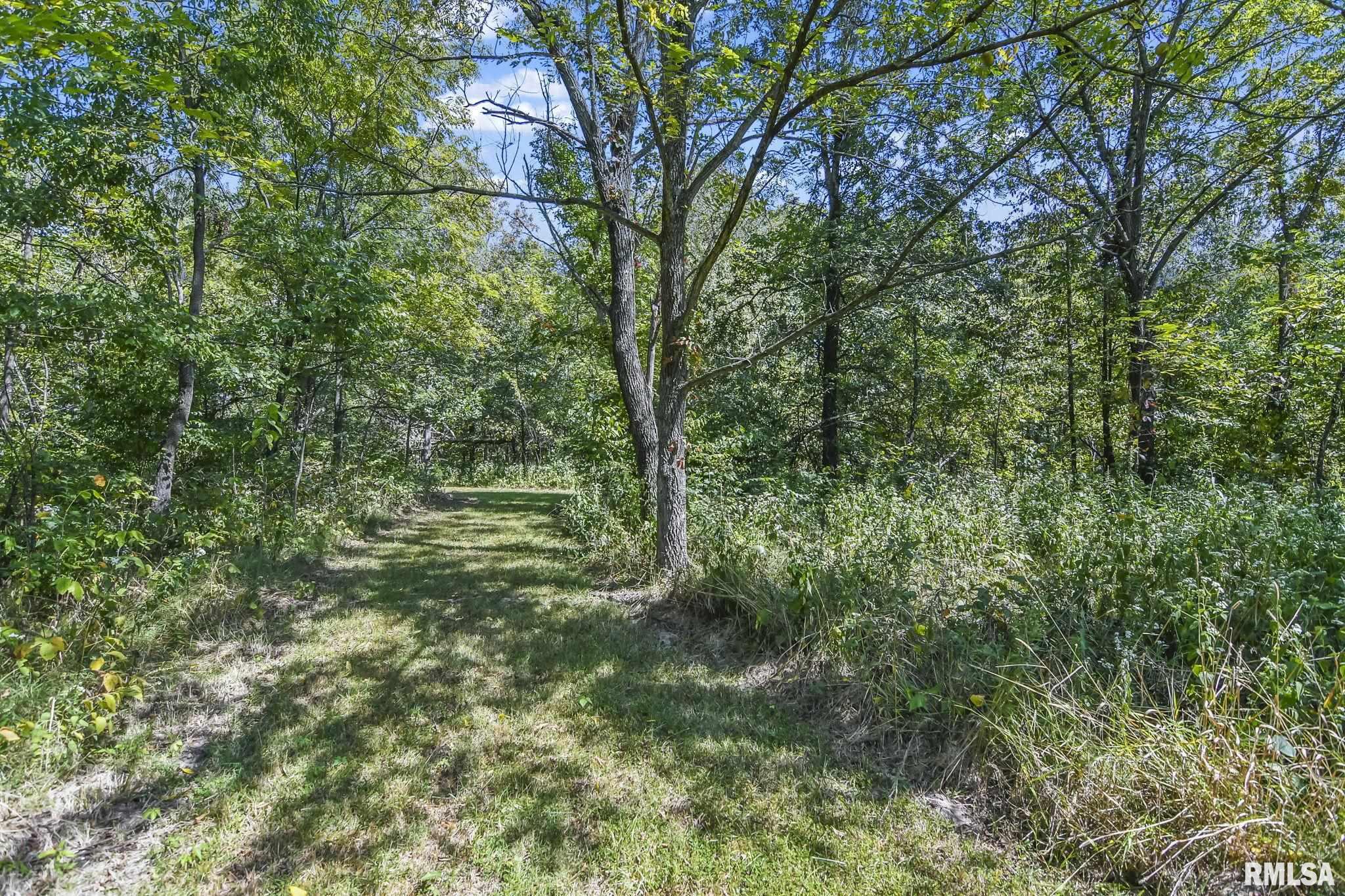 11532 Nassa Lane