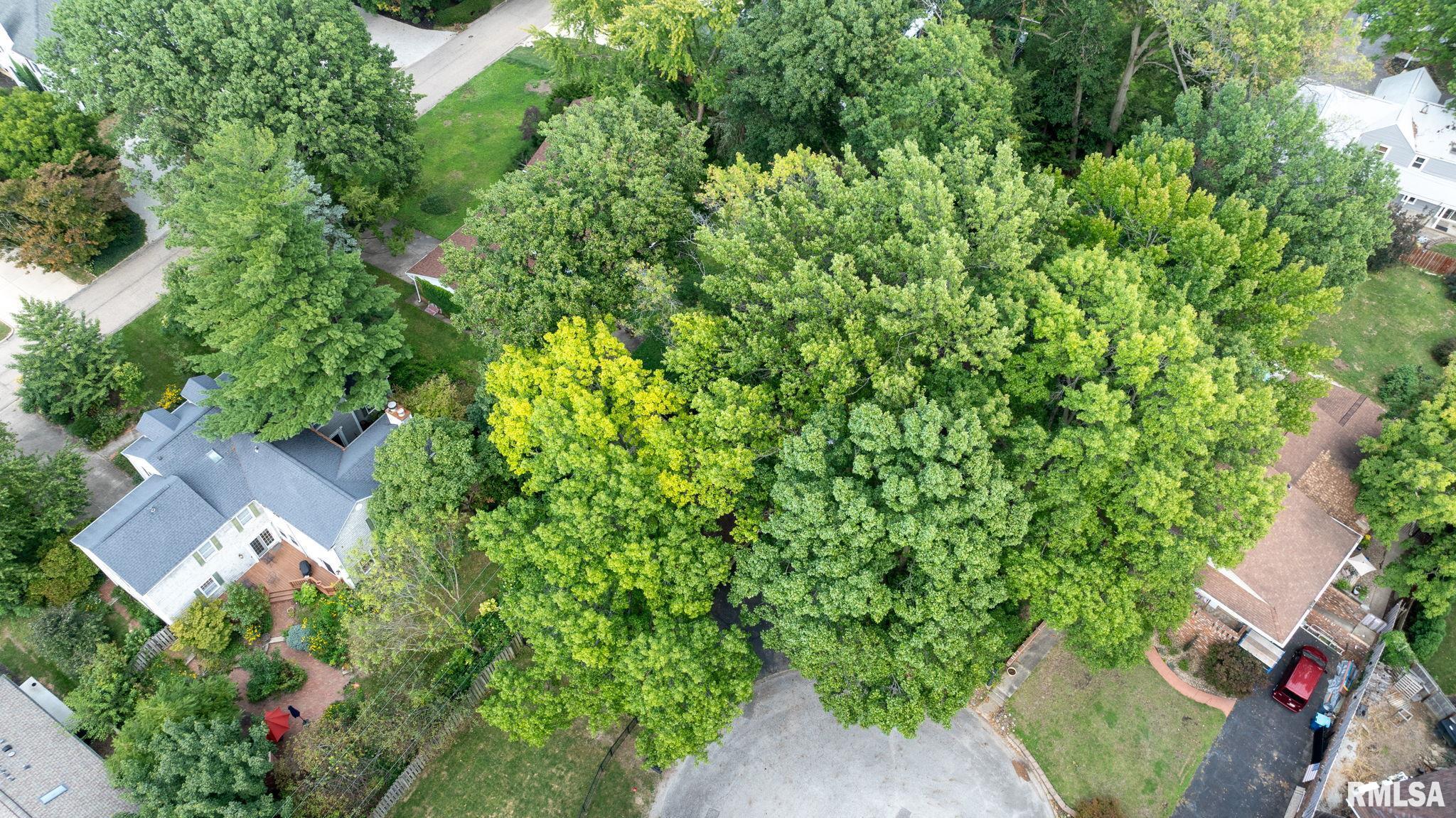 26 PINE TREE Drive