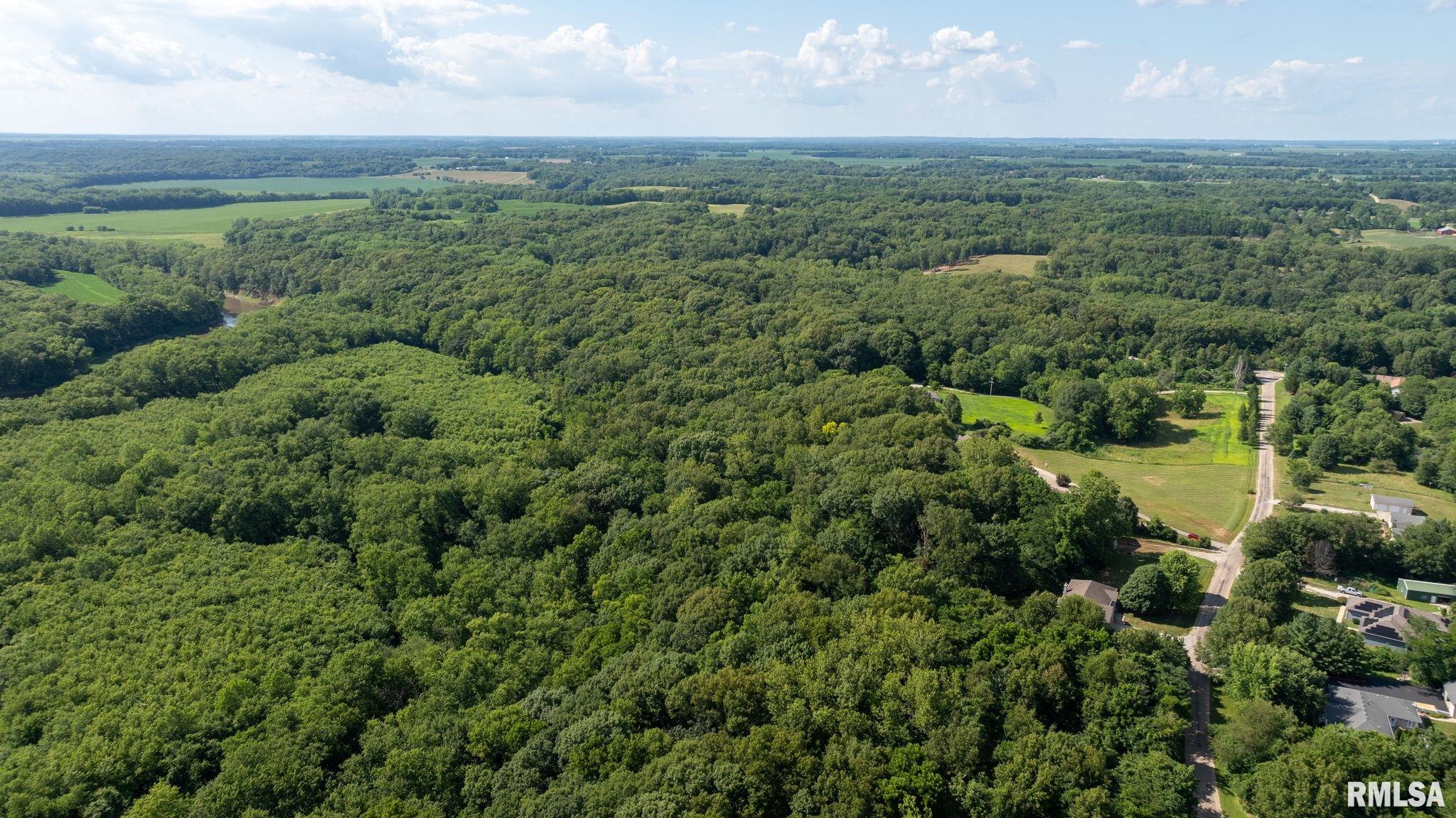 13599 WOODLAND Drive